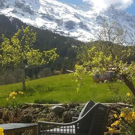 Bei Der Arve 4 Bett Daire Grindelwald