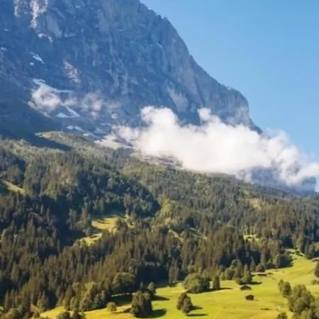 Bei Der Arve 4 Bett Daire Grindelwald